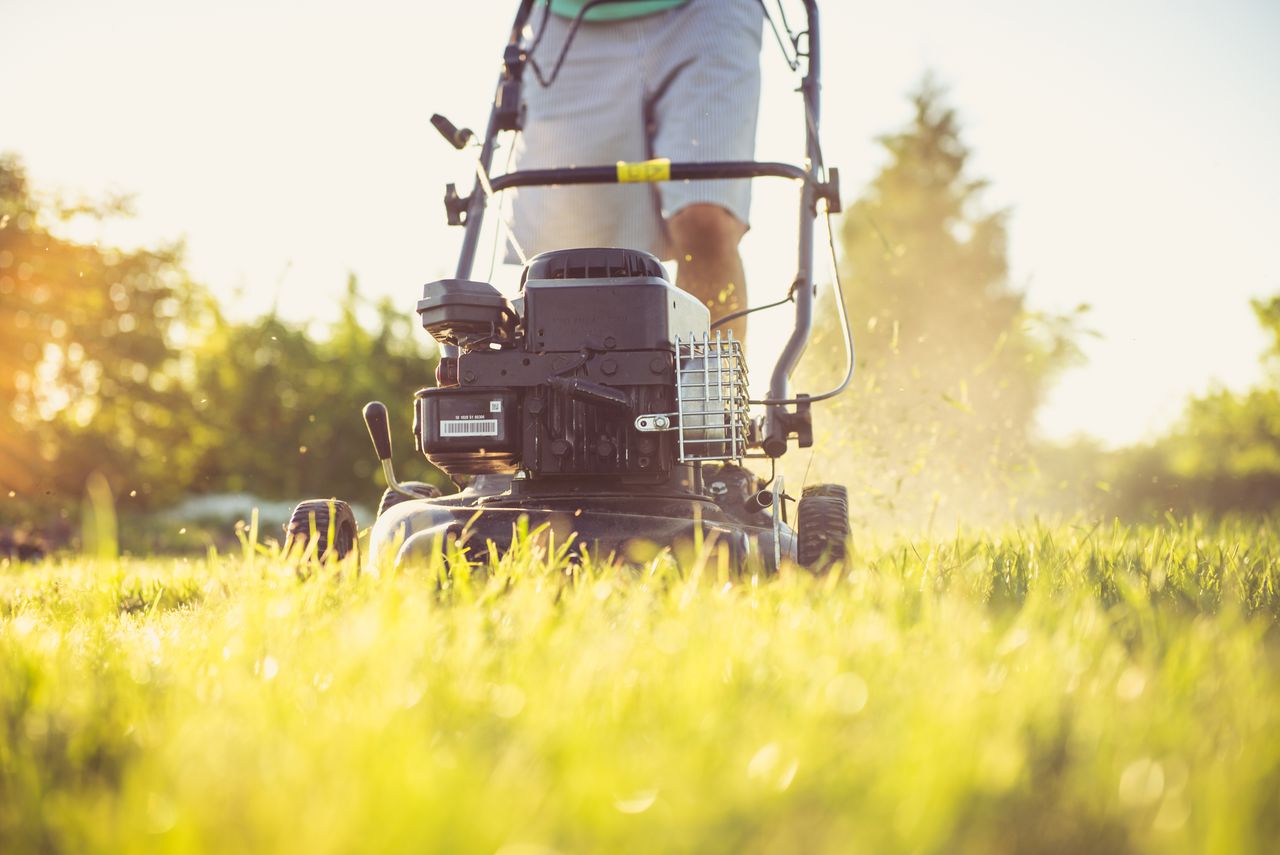 Freshly mowed lawn